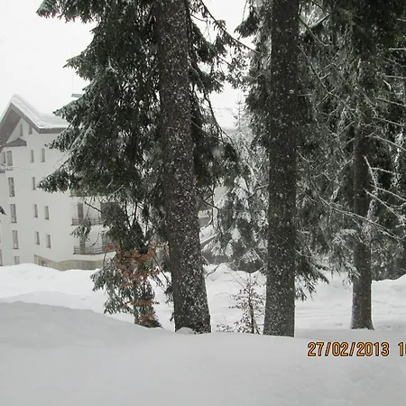 Aparthotel Aparthotel Iceberg 3*